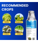 Katyayani Fenox - Fenoxaprop-p-ethyl 9.3% EC (250 ml x 1 Bottle)